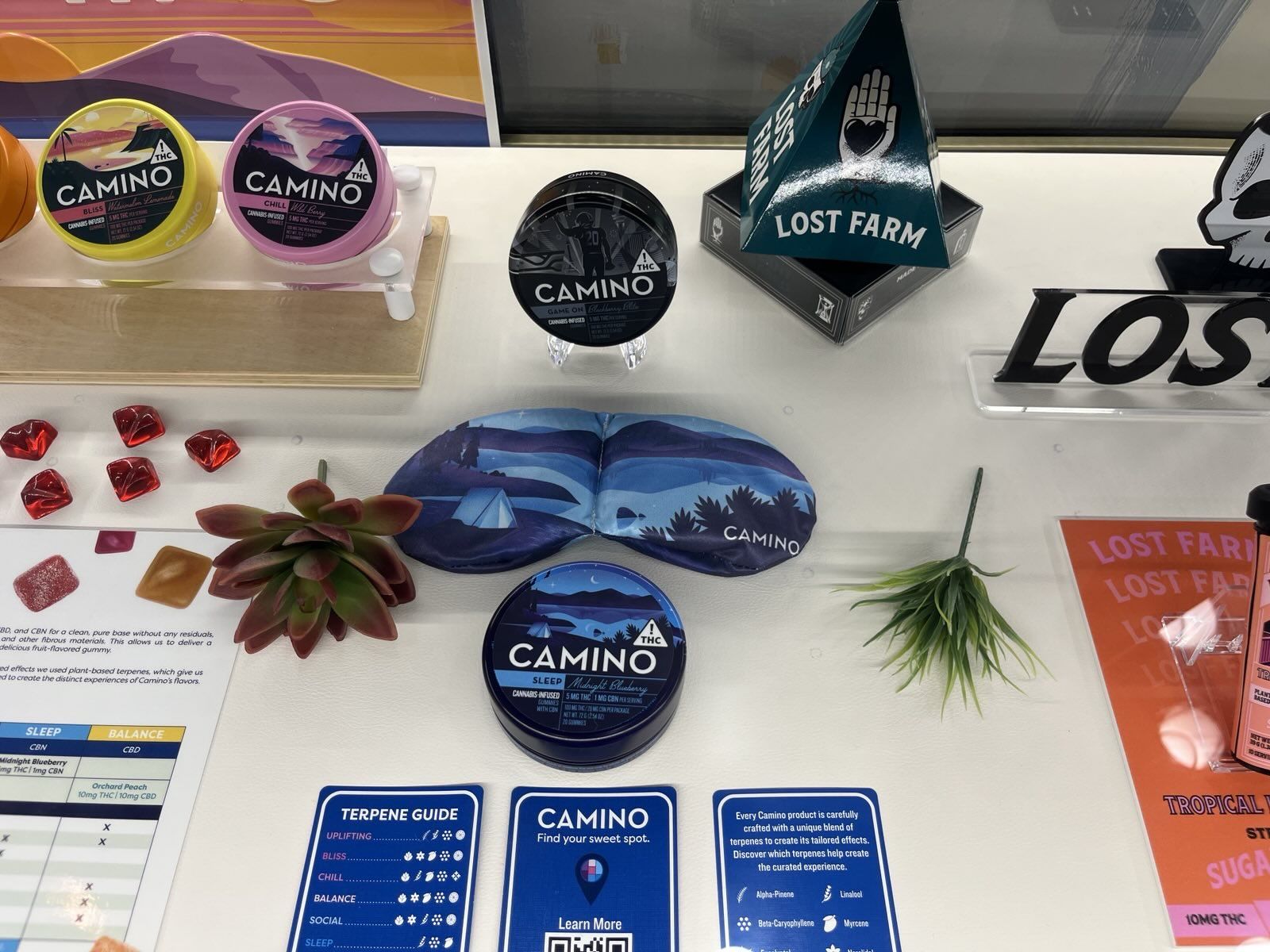 Exploring Cannabis Deals: What to Look For at Dispensaries